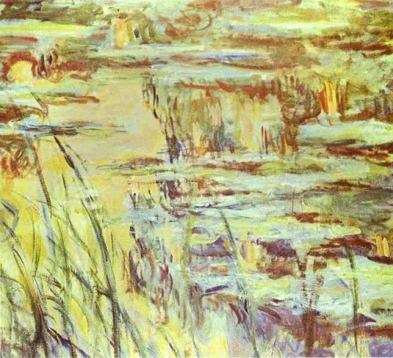 reflets sur l'eau.jpg